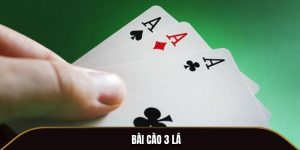Bài Cào 3 Lá - Cẩm Nang Để Trở Thành Tay Chơi Sành Sỏi