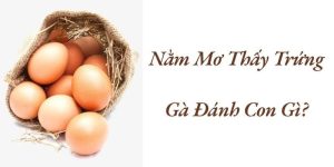 Mơ Thấy Trứng Gà Đánh Con Gì Và Những Điềm Báo Tương Lai