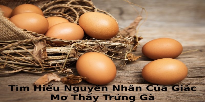 Các nguyên nhân thường gặp của giấc mơ thấy trứng gà
