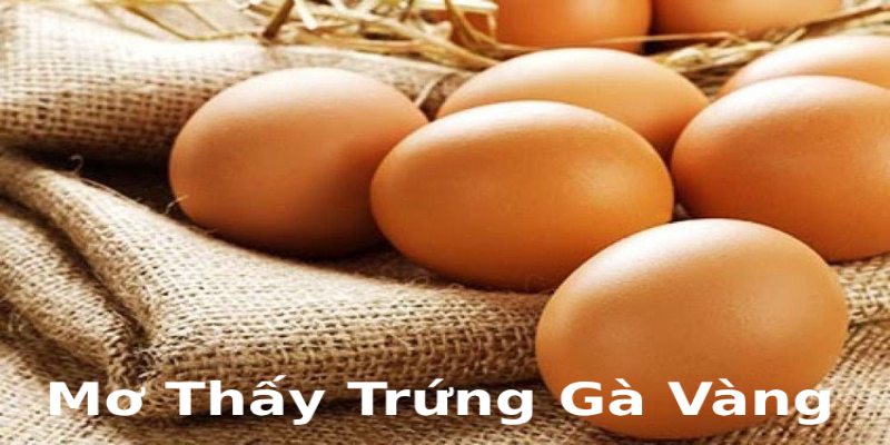 Mơ thấy trứng gà đánh con gì và giải đáp về hình ảnh trứng vàng