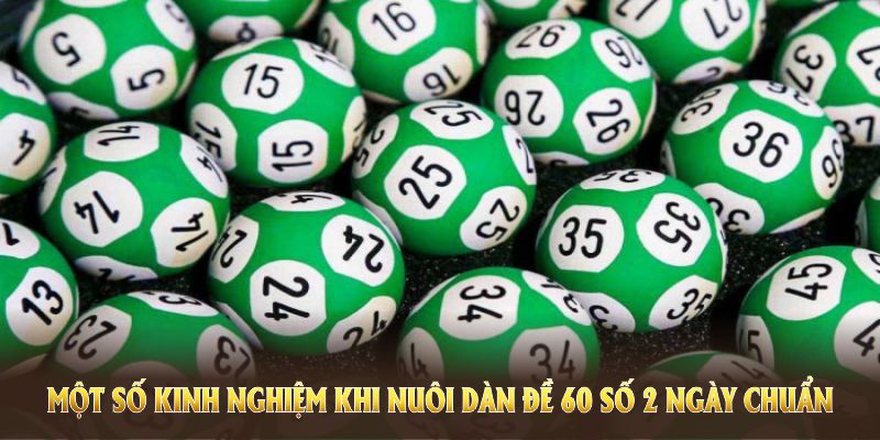 Một số kinh nghiệm khi nuôi dàn đề 60 số 2 ngày chuẩn từ chúng tôi
