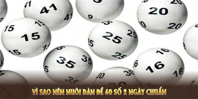 Vì sao nên nuôi dàn đề 60 số 2 ngày chuẩn và nắm khái niệm cốt lõi